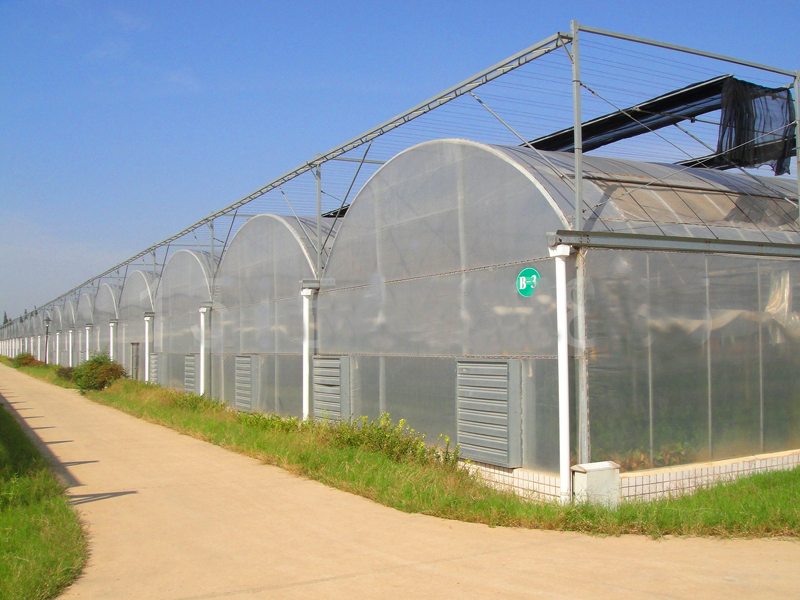 薄膜連棟溫室